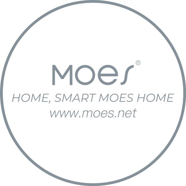 Moes Smart Logo